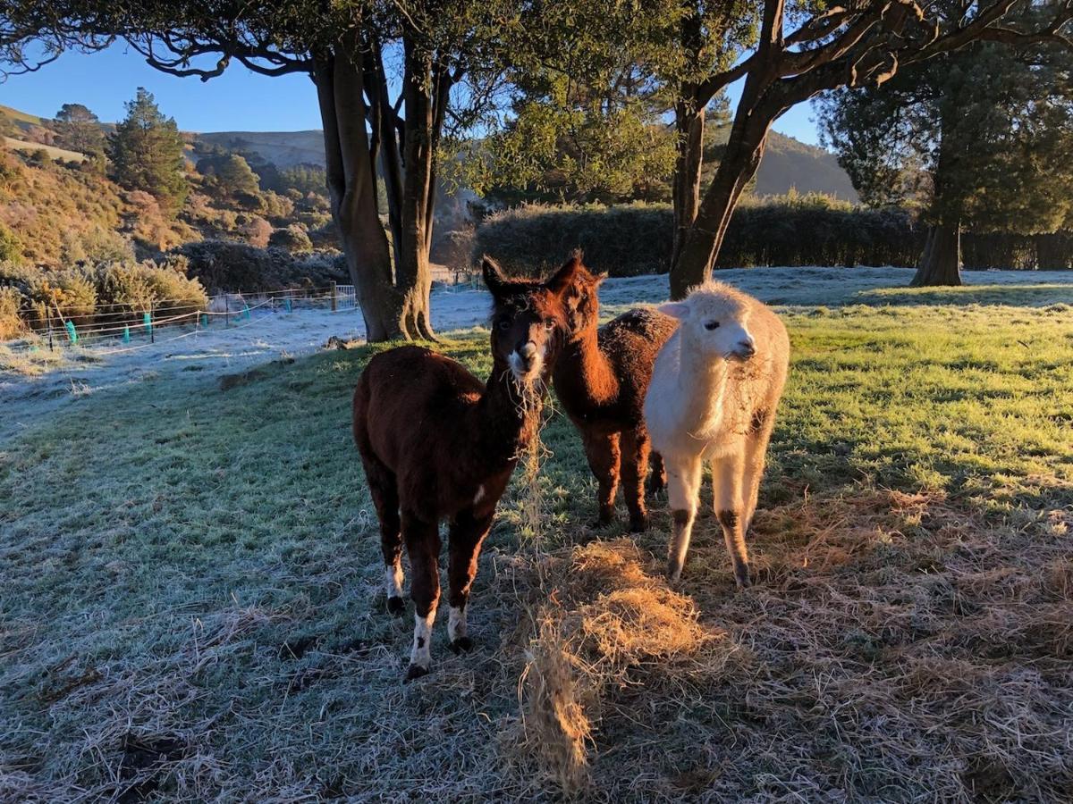Narrow Neck Creek Farmstay And B&B Upper Hutt Exterior photo