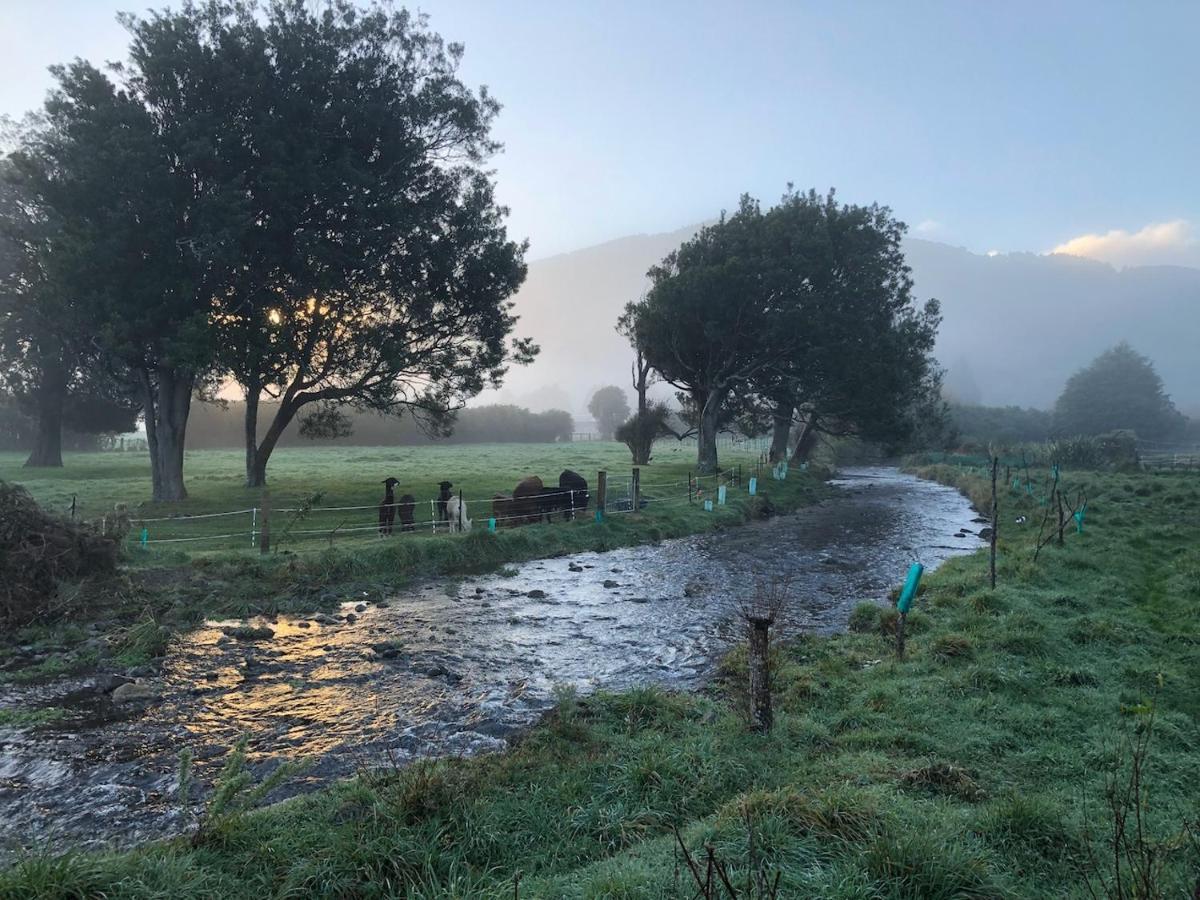 Narrow Neck Creek Farmstay And B&B Upper Hutt Exterior photo